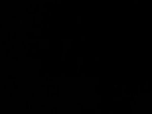 Meet your Posher, Jeremiah